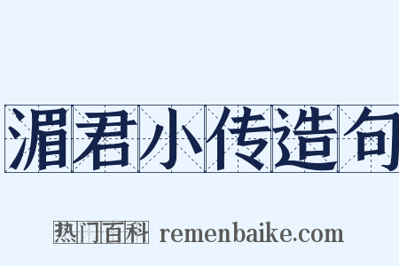 湄君小传造句是什么意思的图片